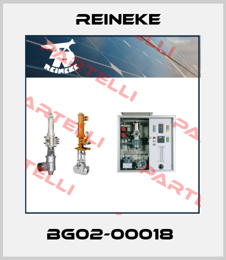 BG02-00018  Reineke