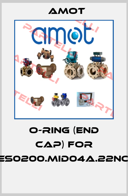 O-RING (END CAP) for ES0200.MID04A.22NO  Amot