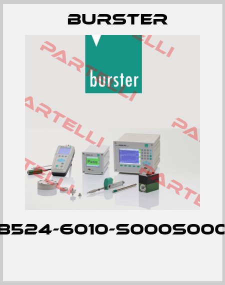 8524-6010-S000S000  Burster