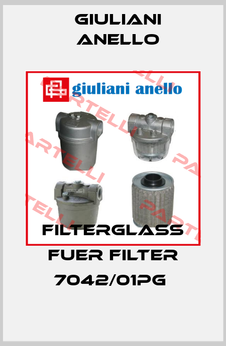 Filterglass fuer Filter 7042/01PG  Giuliani Anello