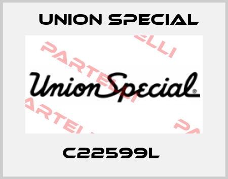 C22599L  Union Special
