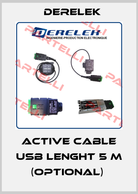 ACTIVE CABLE USB LENGHT 5 m (optional)  Derelek