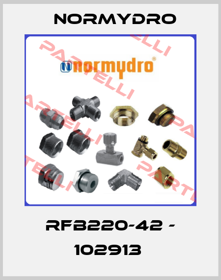 RFB220-42 - 102913  Normydro