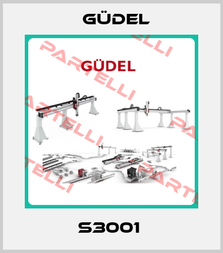 S3001  Güdel