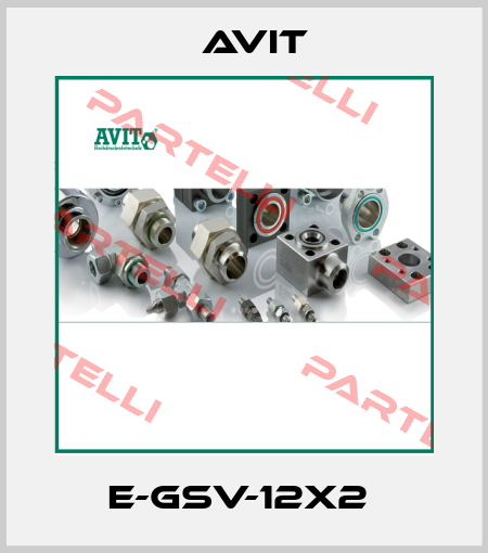 E-GSV-12x2  Avit