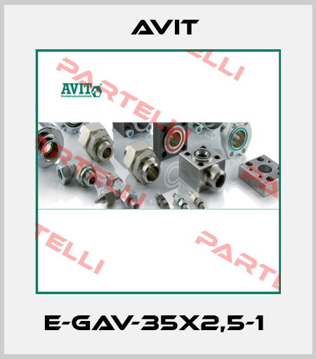 E-GAV-35x2,5-1  Avit