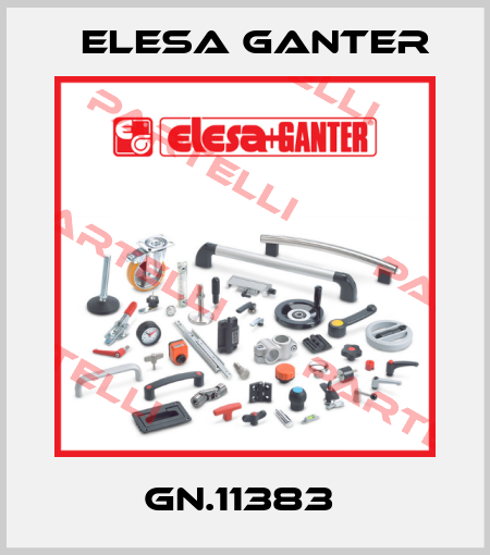 GN.11383  Elesa Ganter