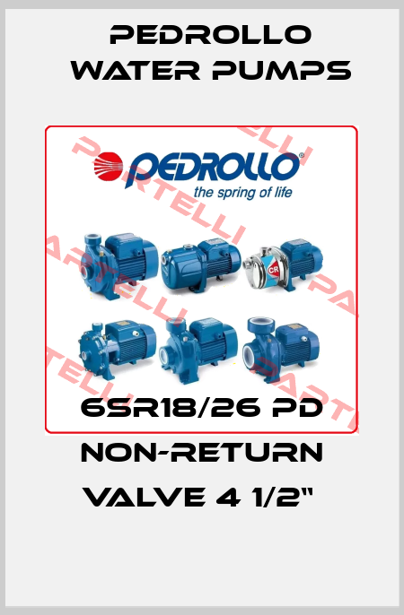 6SR18/26 PD Non-return valve 4 1/2“  Pedrollo Water Pumps