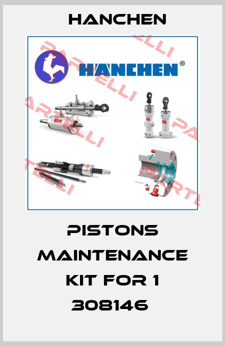 Pistons Maintenance Kit for 1 308146  Hanchen