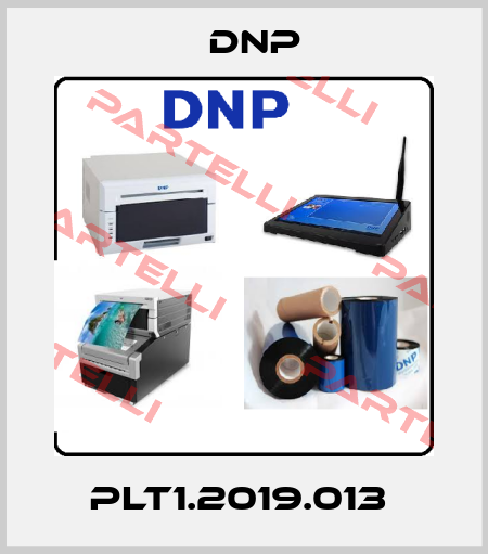 PLT1.2019.013  DNP