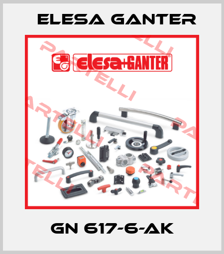 GN 617-6-AK Elesa Ganter