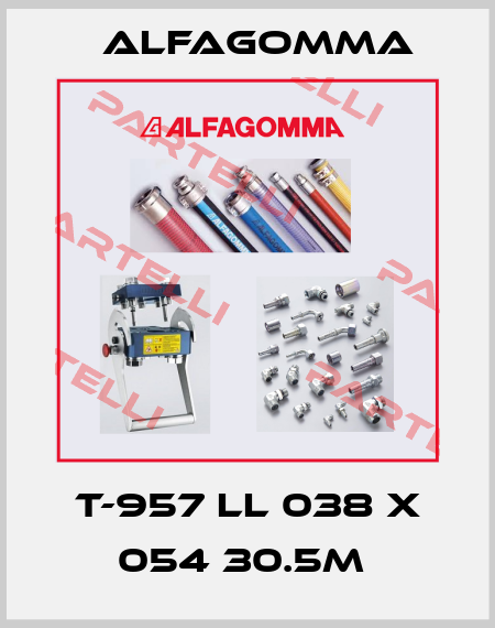 T-957 LL 038 X 054 30.5M  Alfagomma