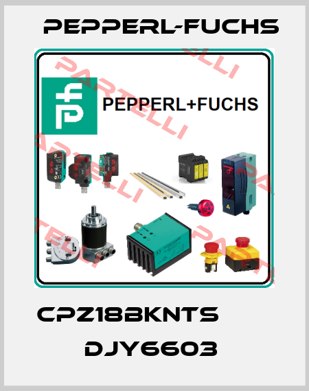 CPZ18BKNTS             DJY6603  Pepperl-Fuchs