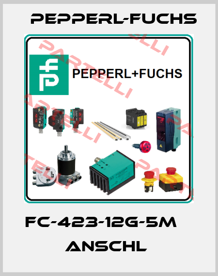 FC-423-12G-5M           Anschl  Pepperl-Fuchs