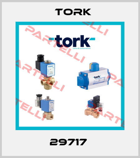 29717  Tork