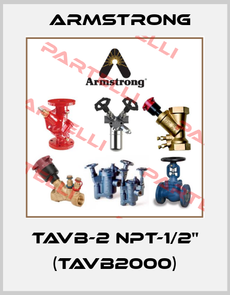 TAVB-2 NPT-1/2" (TAVB2000) Armstrong