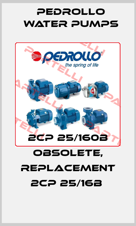 2CP 25/160B obsolete, replacement 2CP 25/16B  Pedrollo Water Pumps