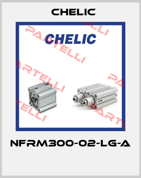 NFRM300-02-LG-A  Chelic