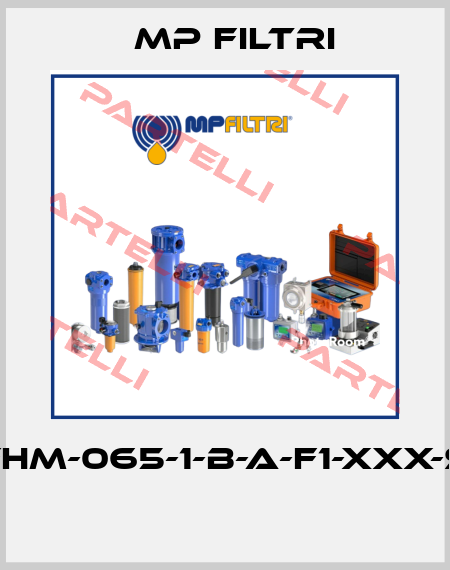 FHM-065-1-B-A-F1-XXX-S  MP Filtri