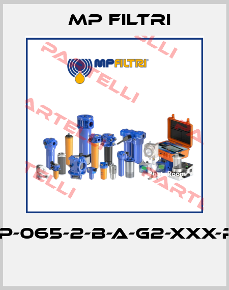 FHP-065-2-B-A-G2-XXX-P01  MP Filtri