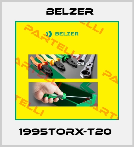 1995TORX-T20  Belzer