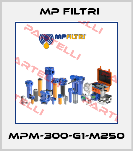 MPM-300-G1-M250 MP Filtri