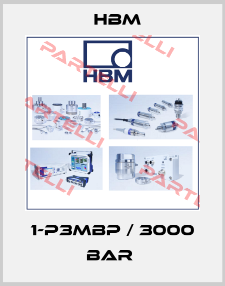 1-P3MBP / 3000 BAR  Hbm