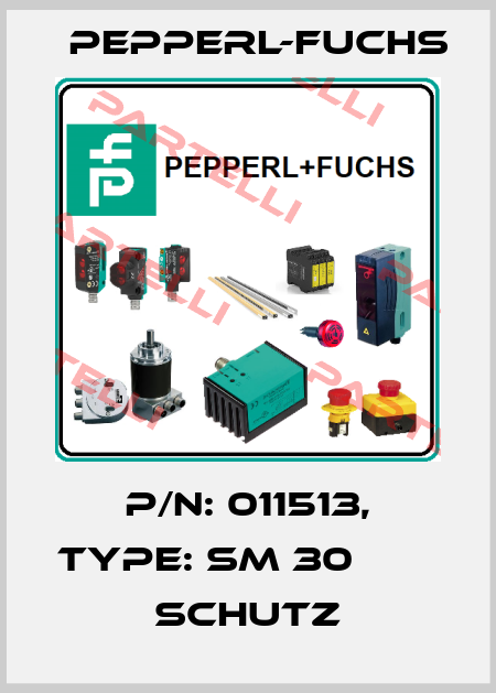 p/n: 011513, Type: SM 30                   Schutz Pepperl-Fuchs