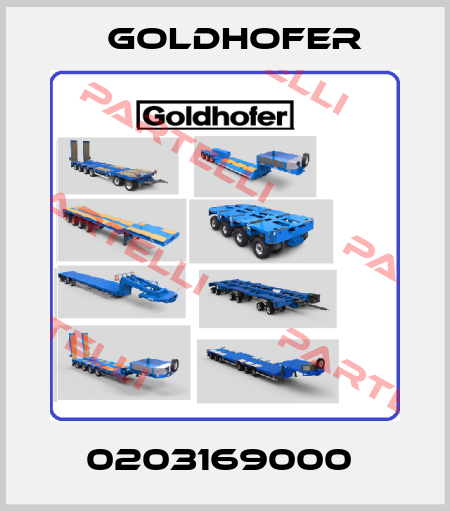 0203169000  Goldhofer