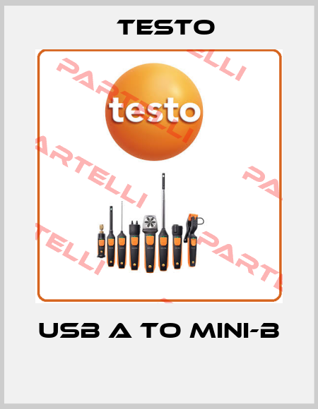 USB A to Mini-B  Testo