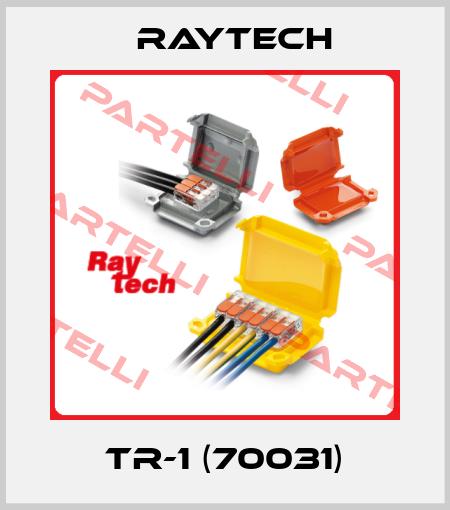 TR-1 (70031) Raytech
