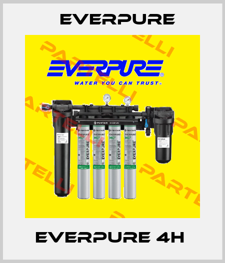 EVERPURE 4H  Everpure