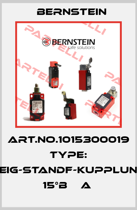 Art.No.1015300019 Type: NEIG-STANDF-KUPPLUNG 15°B    A  Bernstein