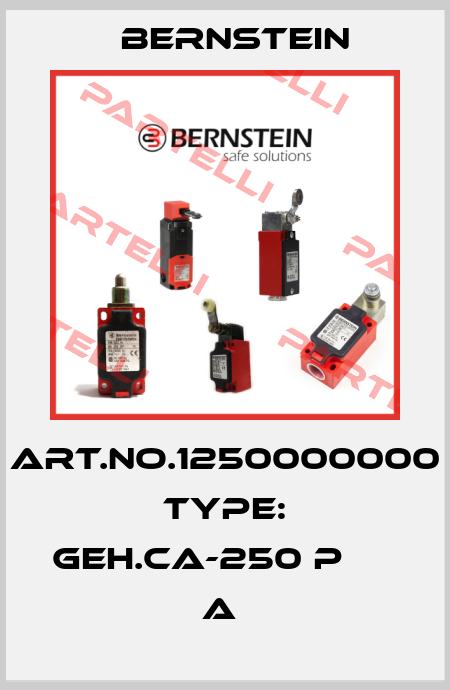 Art.No.1250000000 Type: GEH.CA-250 P                 A  Bernstein