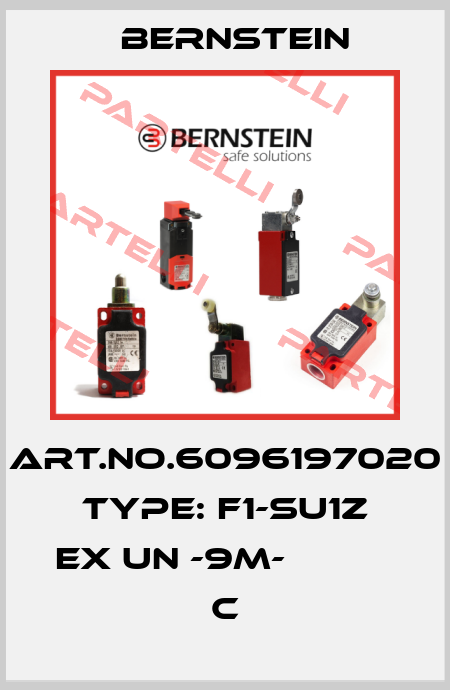 Art.No.6096197020 Type: F1-SU1Z EX UN -9M-           C Bernstein