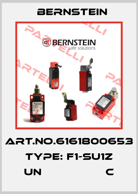Art.No.6161800653 Type: F1-SU1Z UN                   C Bernstein
