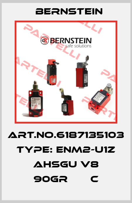 Art.No.6187135103 Type: ENM2-U1Z AHSGU V8 90GR       C Bernstein