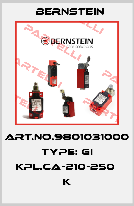 Art.No.9801031000 Type: GI KPL.CA-210-250            K Bernstein