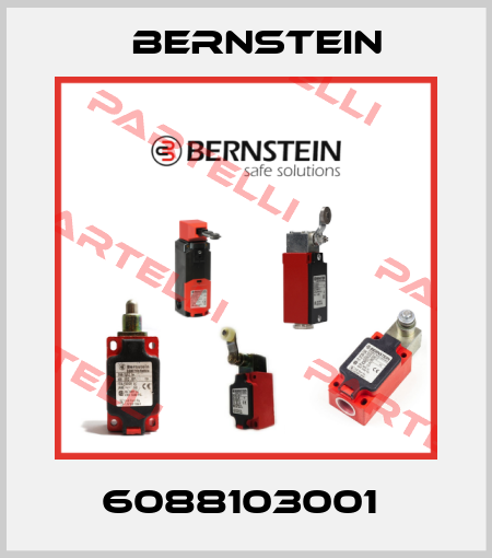 6088103001  Bernstein