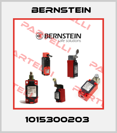 1015300203  Bernstein
