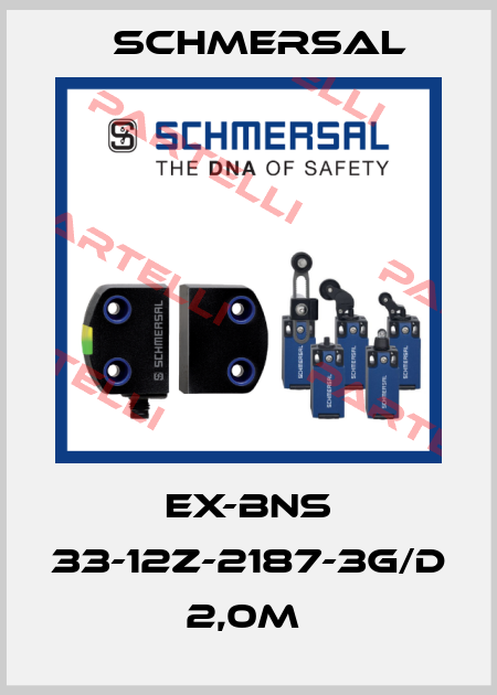 EX-BNS 33-12Z-2187-3G/D 2,0M  Schmersal