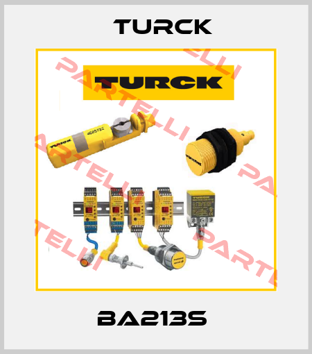 BA213S  Turck