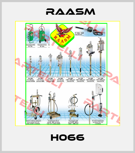 H066 Raasm