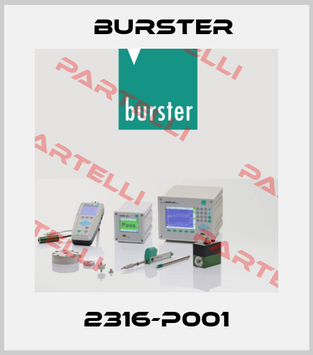 2316-P001 Burster