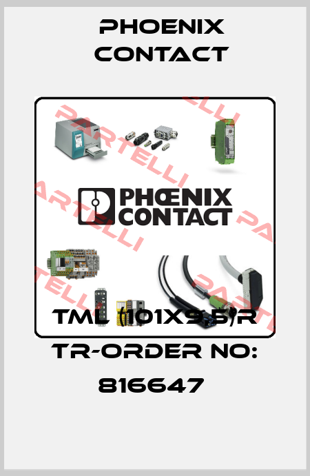 TML (101X9,5)R TR-ORDER NO: 816647  Phoenix Contact