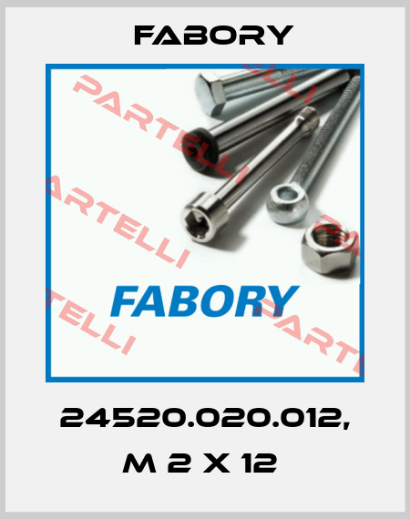 24520.020.012, M 2 X 12  Fabory
