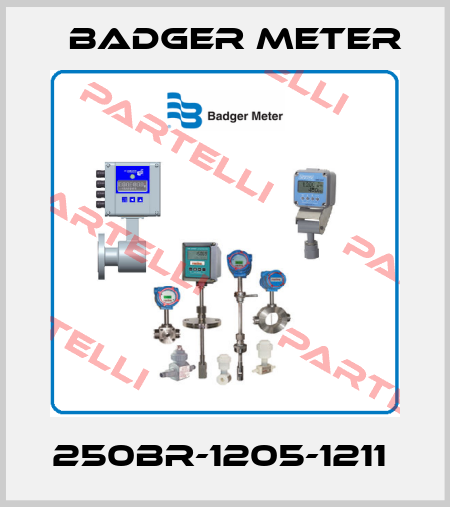 250BR-1205-1211  Badger Meter