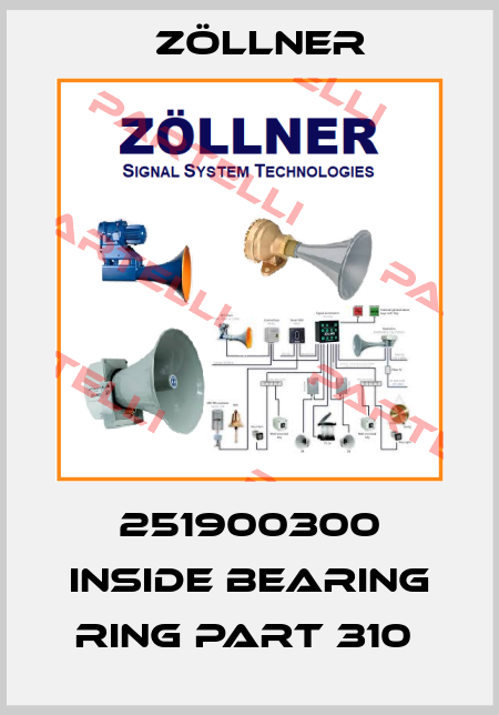 251900300 INSIDE BEARING RING PART 310  Zöllner