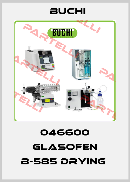 046600 GLASOFEN B-585 DRYING  Buchi