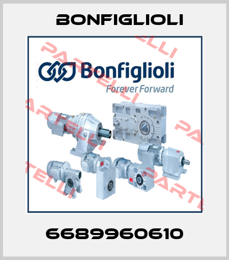 6689960610 Bonfiglioli